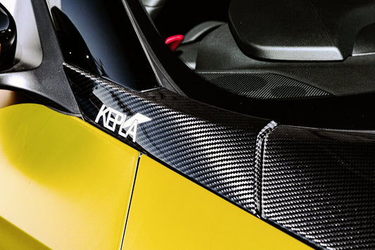 RZ34 Dry Carbon Front Pillar