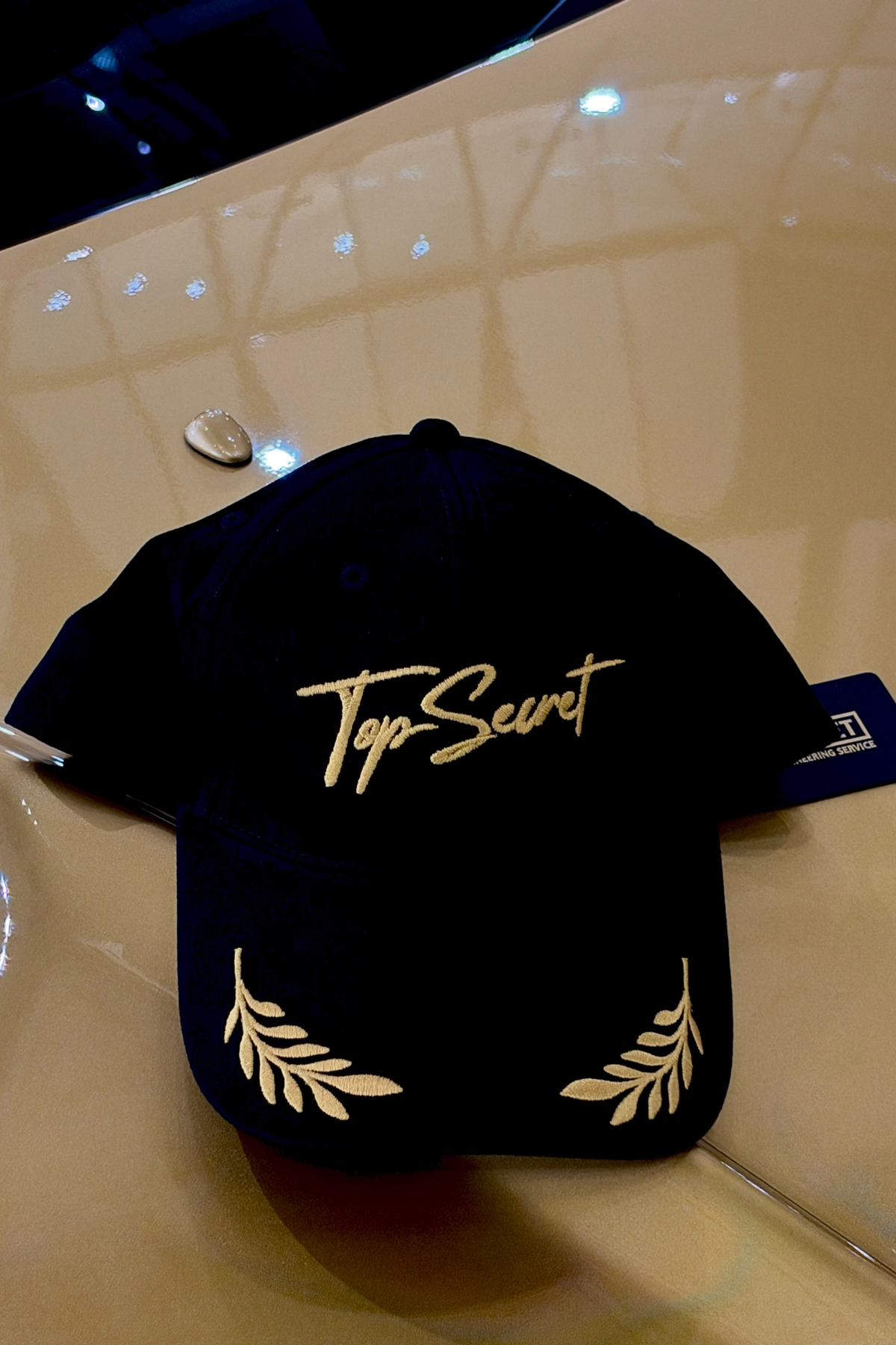TopSecret - Cap Ver  4